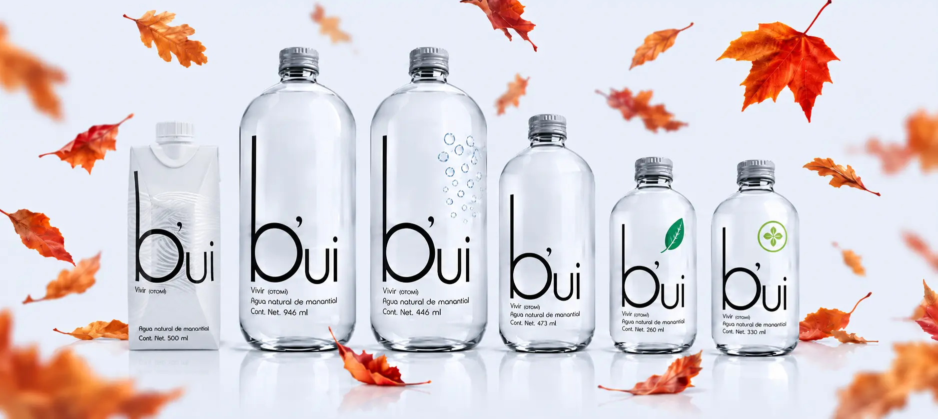 Envase Tetra Pak y cinco botellas de vidrio de agua Bui entre hojas de otoño