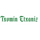 Txomin Etxaniz
