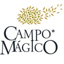 Campo Magico
