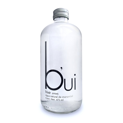 Agua Natural Bui Vidrio 473 ml Caja de 12 pzas