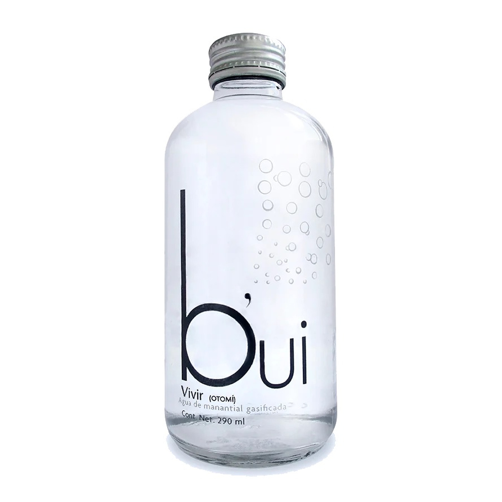 Agua Gasificada Bui Vidrio 290 ml Caja de 24 pzas