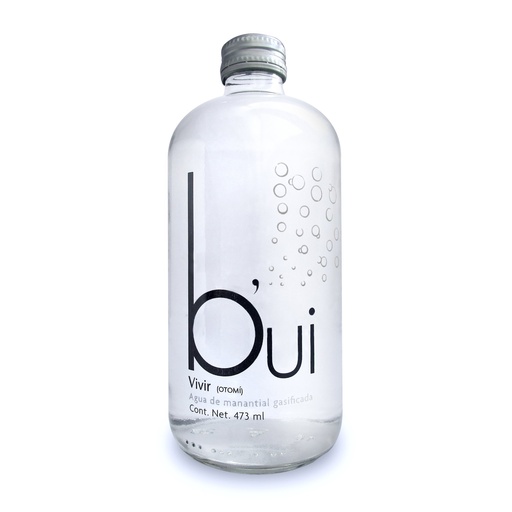 Agua Gasificada Bui Vidrio 473 ml Caja de 12 pzas