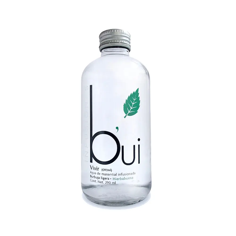 Agua Gasificada Bui Hierbabuena Vidrio 290 ml Caja de 24 pzas