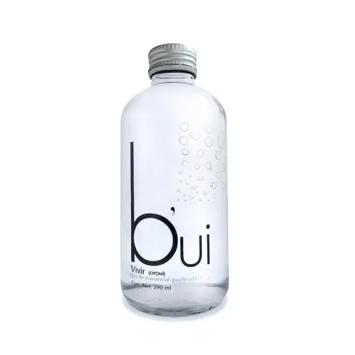 Agua Gasificada Bui Vidrio 290 ml Caja de 24 pzas