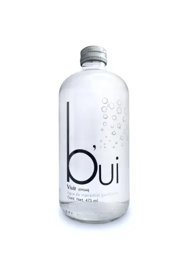 Agua Gasificada Bui Vidrio 473 ml Caja de 12 pzas