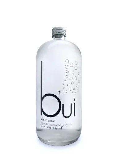 Agua Gasificada Bui Vidrio 946 ml Caja de 12 pzas