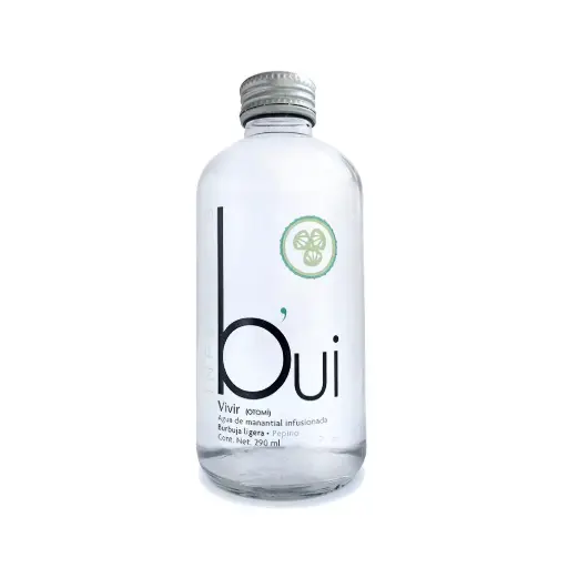 Agua Gasificada Bui Pepino Vidrio 290 ml Caja de 24 pzas